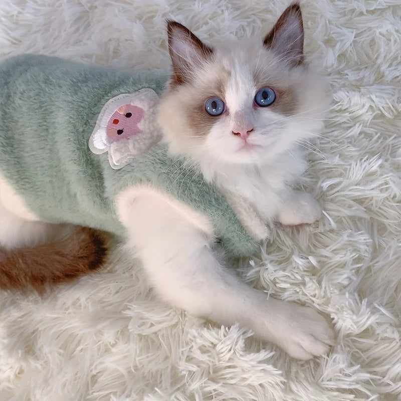 Zenalen Warm Kittens Clothes