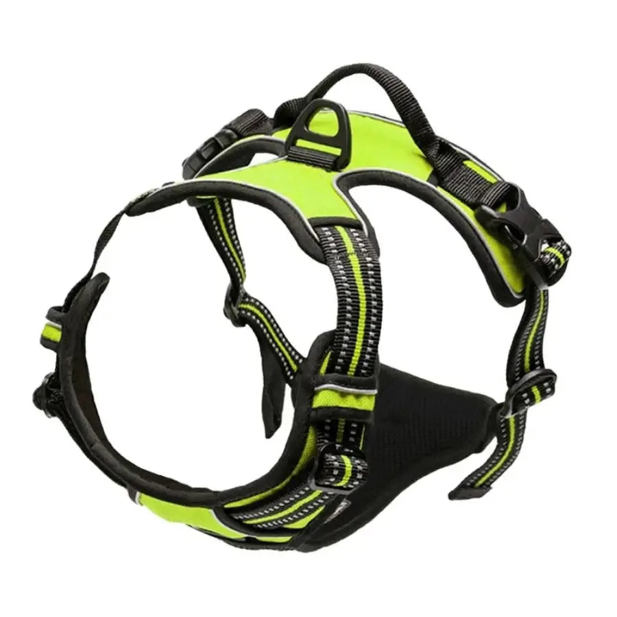 Zenalen Big Vests Leash 