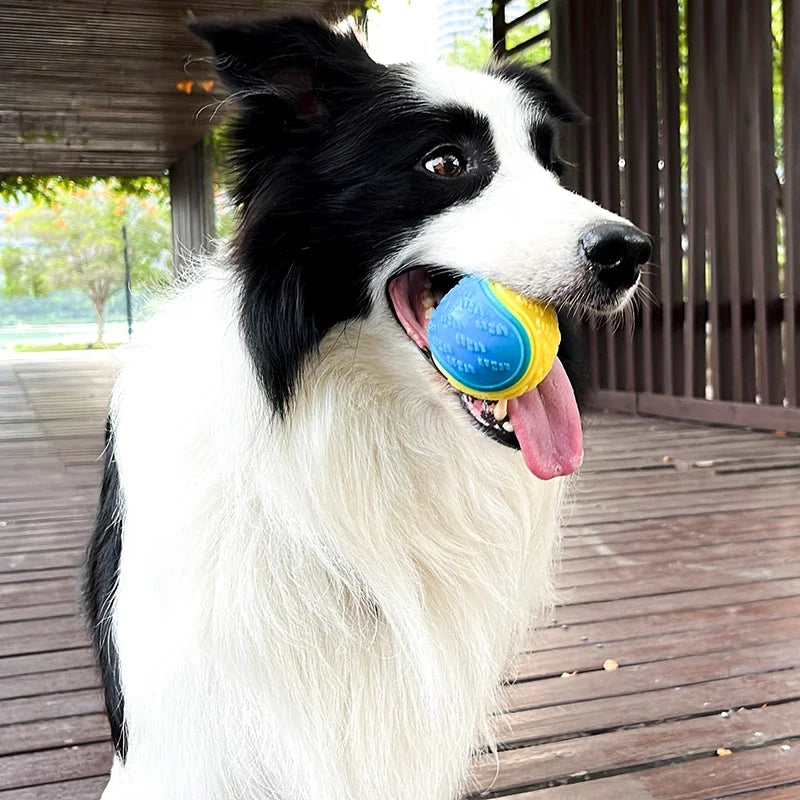 Zenalen Dog Ball Toy 